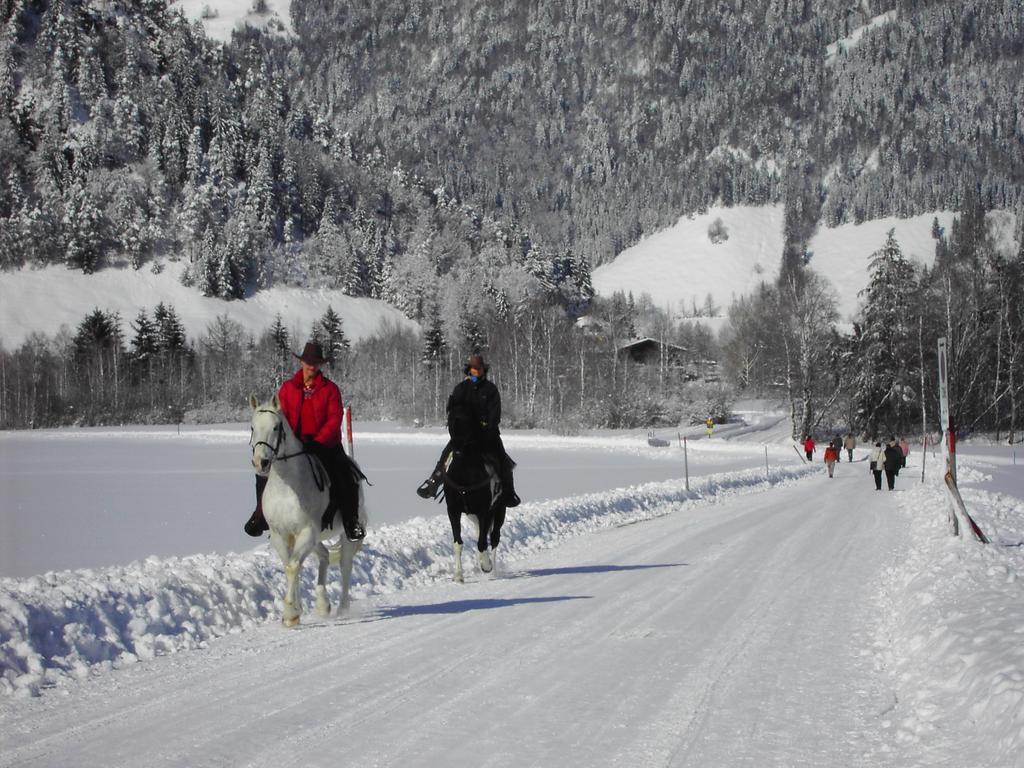 Bergheim Komfort Ferienwohnungen Walchsee Εξωτερικό φωτογραφία
