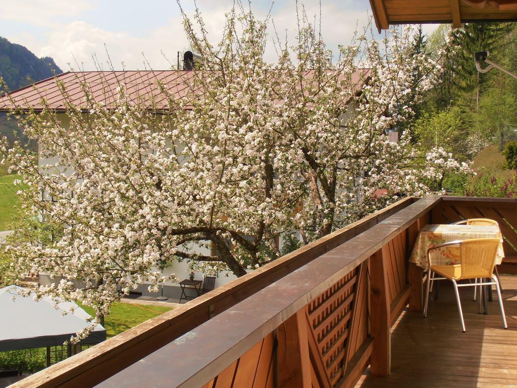 Bergheim Komfort Ferienwohnungen Walchsee Εξωτερικό φωτογραφία
