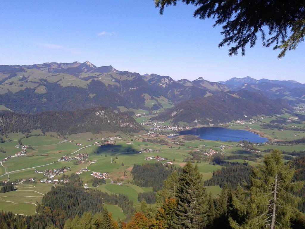Bergheim Komfort Ferienwohnungen Walchsee Εξωτερικό φωτογραφία